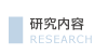 研究内容
